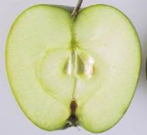 Granny Smith apple cut in half