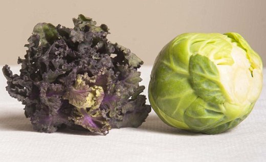 Kalette and Brussels Sprout