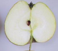 Laxton's Superb apple cut in half