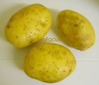 Three potatoes