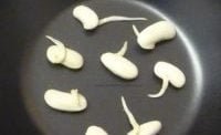 Seeds which have germinated