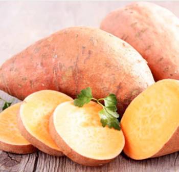 Sweet potato variety Beauregard