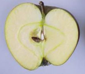 Tydeman's Late Orange apple cut in half