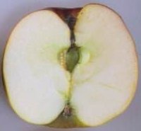 Annie Elizabeth apple cut in half