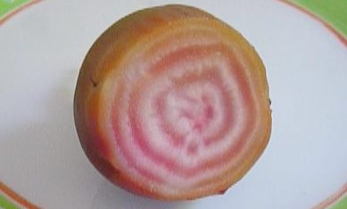 Cooked Chioggia bedetroot