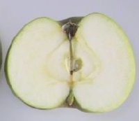 Bramley's Seedling apple cut in half