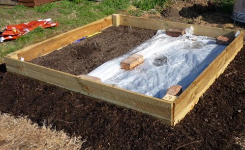 raised bed with bark chip path round it
