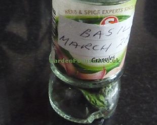 Home dried basil in a jar