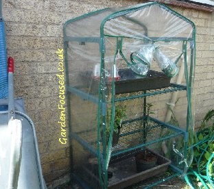 Plastic mini-greenhouse