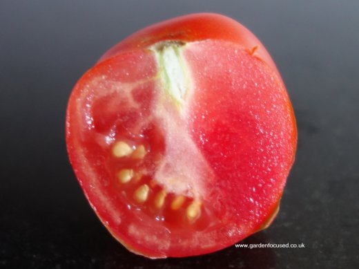 Outdoor Girl tomato sliced