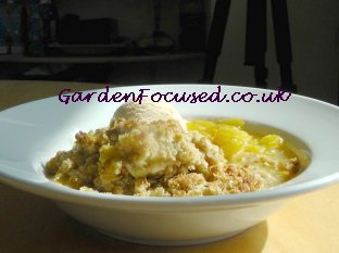 Plum crumble served in a dish