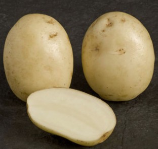 Valor Potato variety