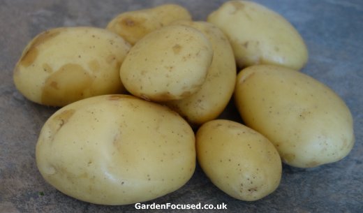 Vitabella potatoes