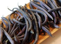 French Bean variety Purple Teepee
