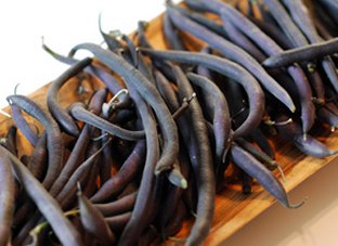 Purple Teepee French Bean
