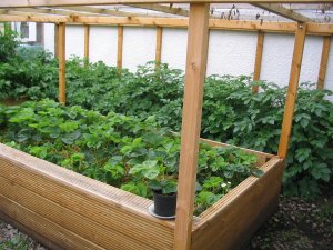 View 4 of interior of homemade, covered raised beds