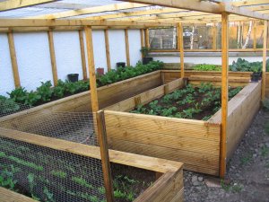 View 5 of interior of homemade, covered raised beds