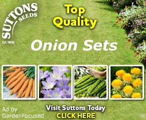 Suttons onion sets