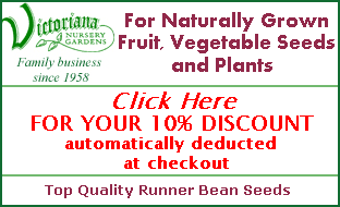 Victoriana Nursery Runner Bean seeds