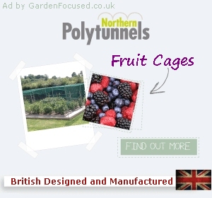 Ad for Northern Polytunnels