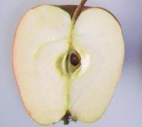 An Adam's Pearmain apple cut in half