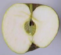 Blenheim Orange apple cut in half