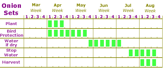 Plant onion sets calendar zone 3